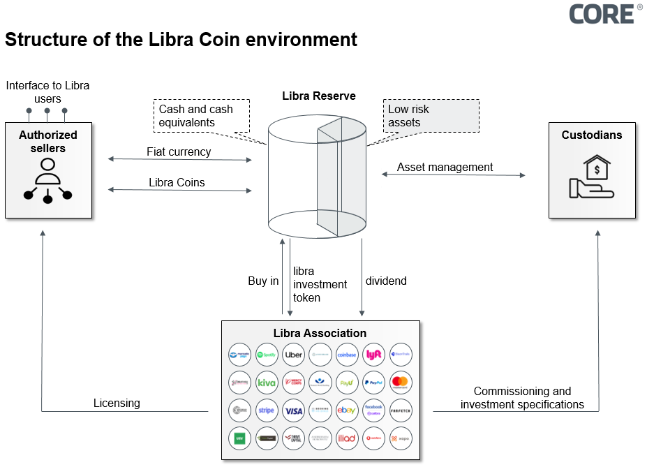 Structure of the Libra Coin environment